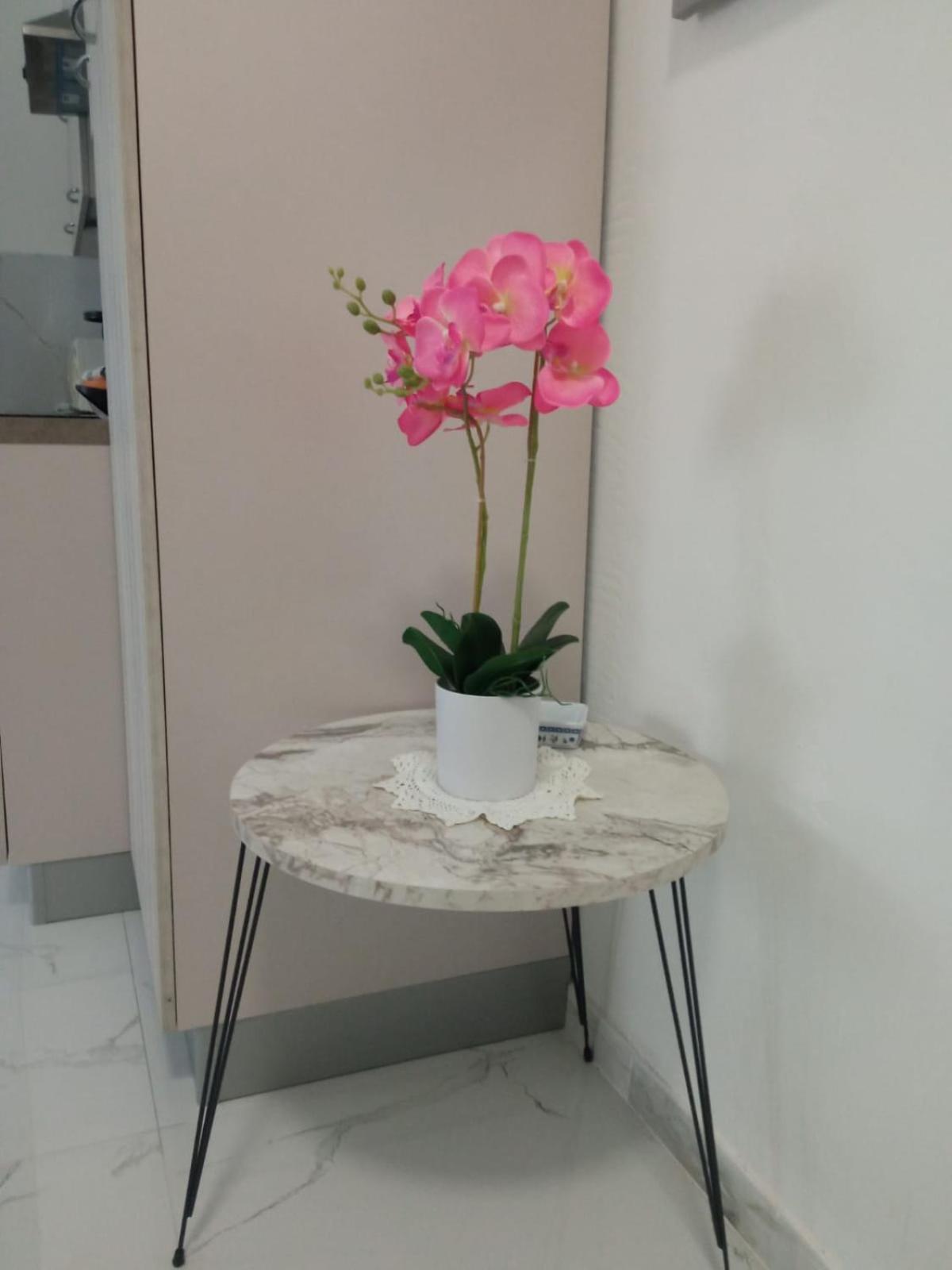 Wh - Dolce Vita - Bilocale - 5 Minuti Dal Centro - Parcheggio Gratuito - Wifi Sanremo Luaran gambar